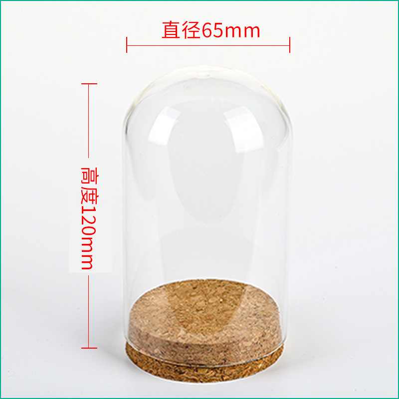 Wedding Zoo - 36pcs D65XH120mm Empty Clear Glass Cloche