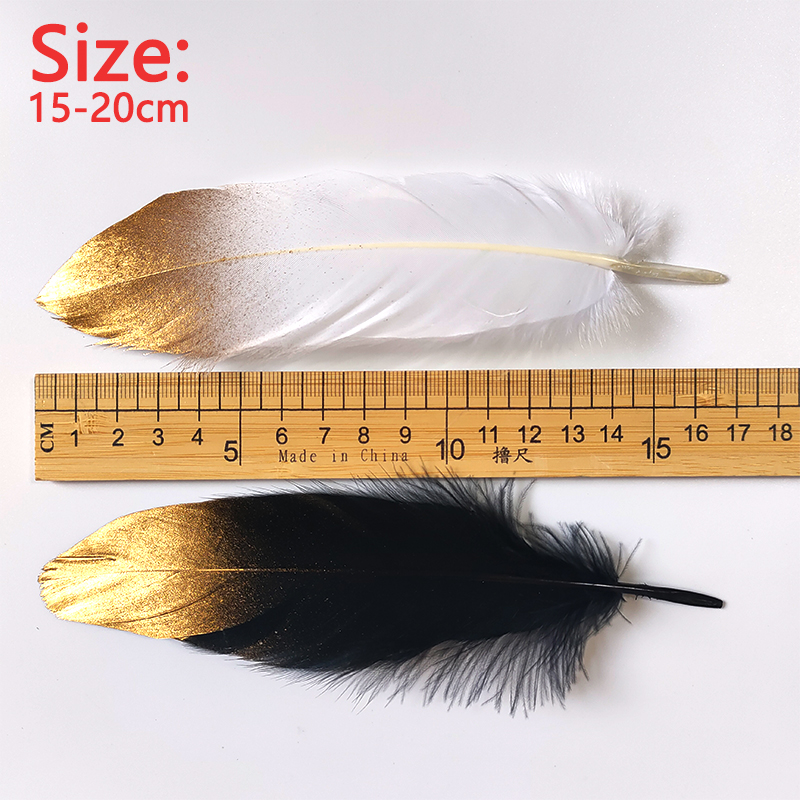 15-20cm Black White Feathers W - Centerpiece Vase Tall review and price
