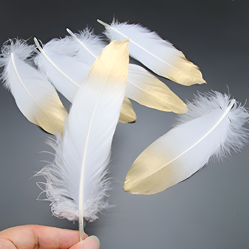 15-20cm Black White Feathers W - Centerpiece Vase Tall review and price